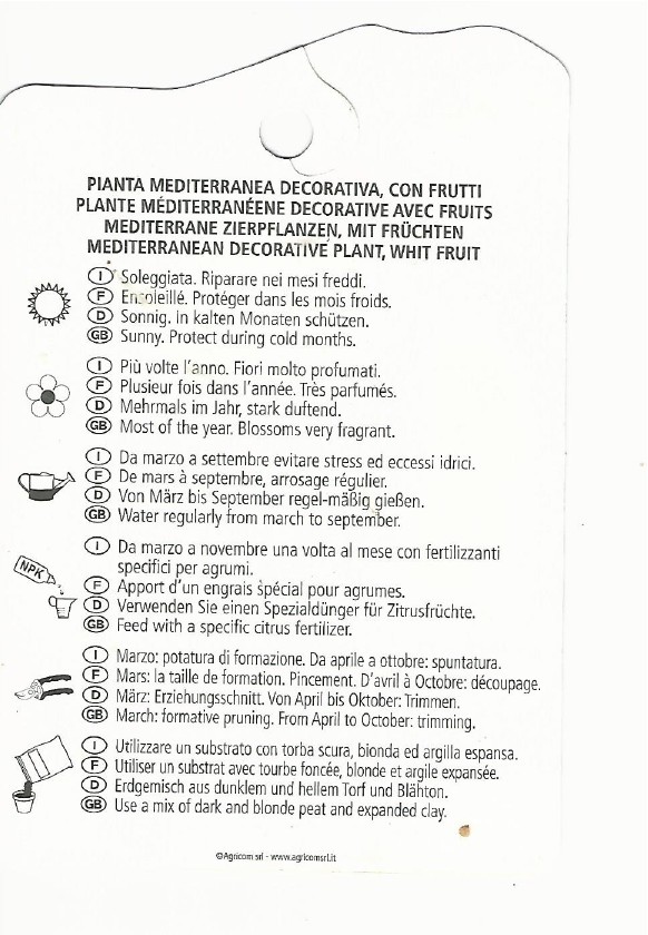 Citrus Limone 0002.jpg